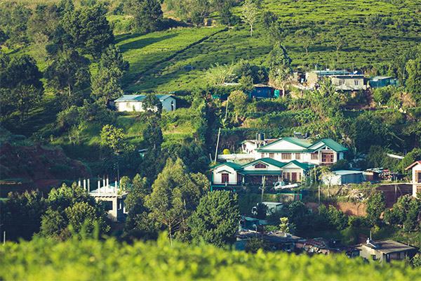 Darjeeling