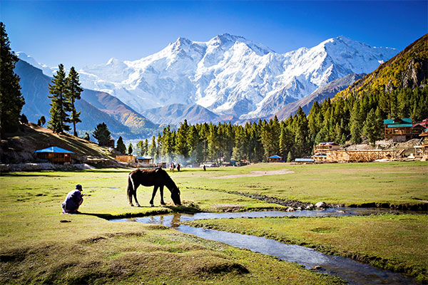 Great Himalayan National Park, travel guide to manali